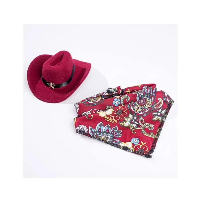 Ensemble Chapeau de Cowboy Chat Bleu Rétro, Marionnette en Tissu Triangulaire, Accessoires Photo Cha