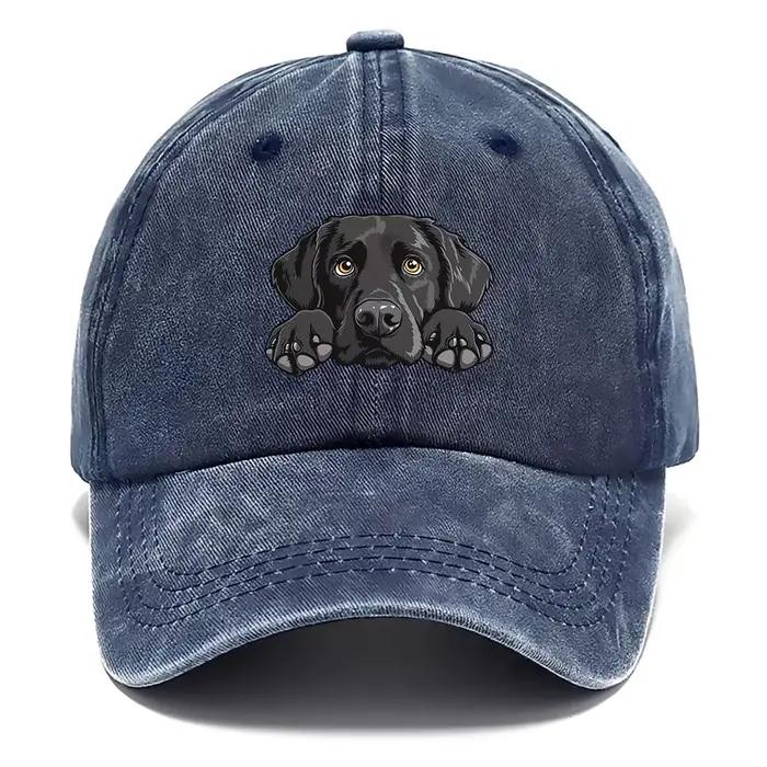 Casquette de Baseball imprimée Labrador, chapeau à rabat réglable léger et respirant avec bord incur