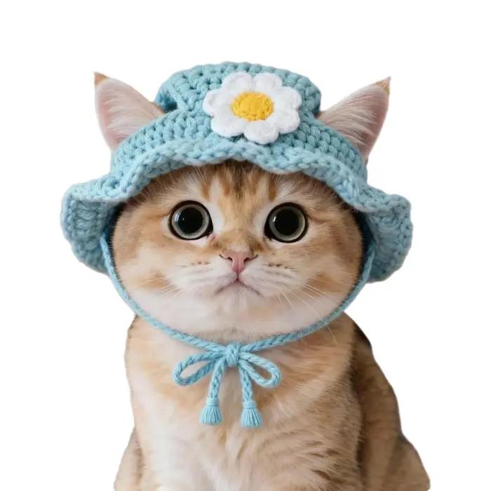 Nouveau chapeau de chat drôle raffiné élastique accessoires de séance Photo chiot chatons tricoté ch
