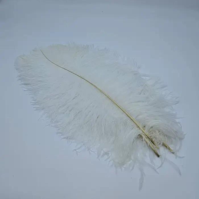 Plumes d'autruche naturelles pour l'artisanat