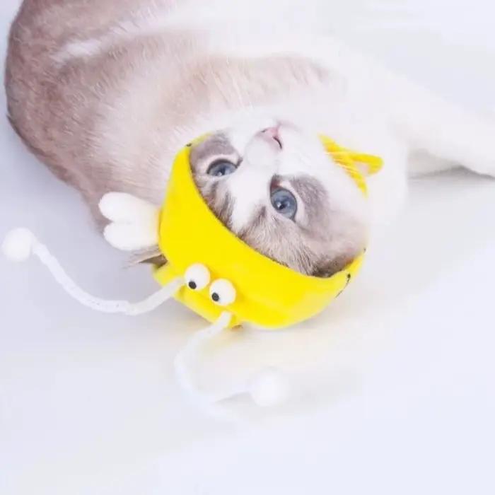 Chapeau avec queue de chat