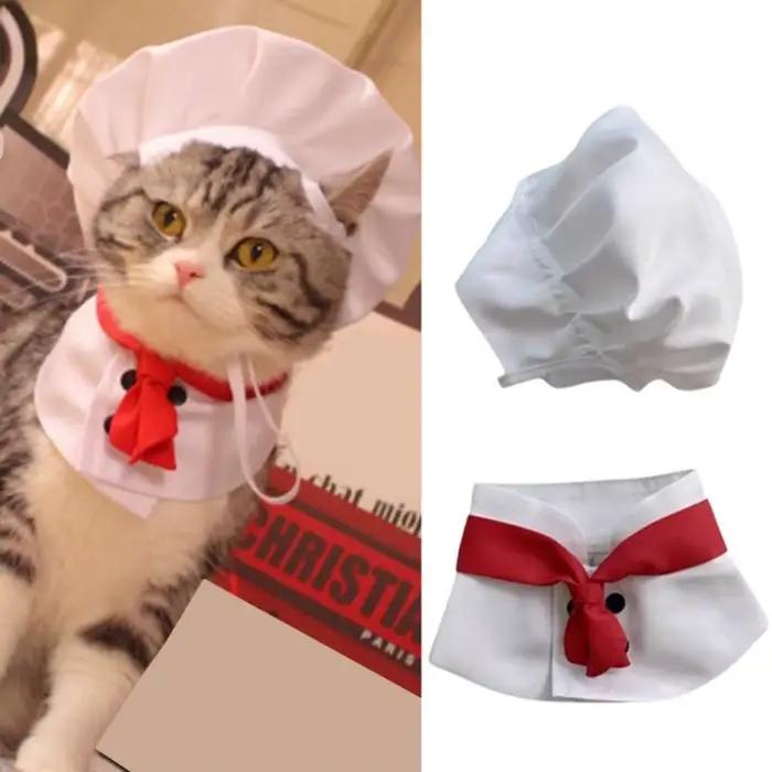 Chapeaux de chef pour chats et chiens accessoires de mode et cosplay pour animaux de compagnie polyester solides et résistants occassions spéciales et quotidienne