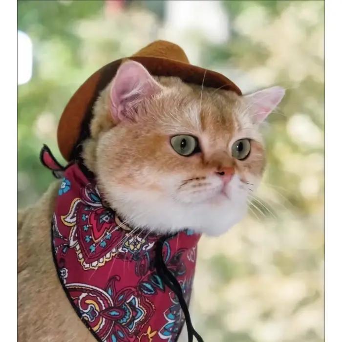 Ensemble Chapeau de Cowboy Chat Bleu Rétro