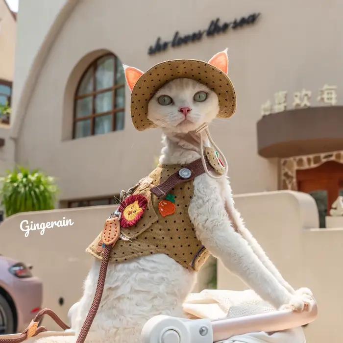 Chapeau de chat en fibre de coton réglable