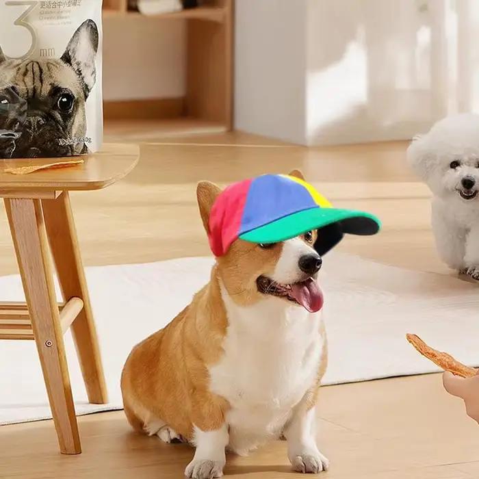 Chapeau à hélice pour chien avec trous d'oreille