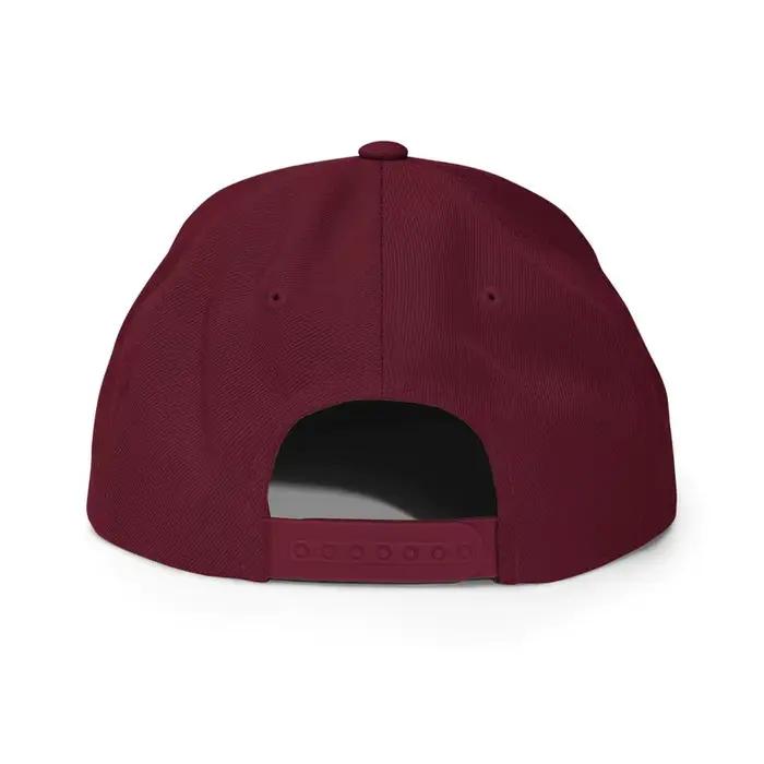 Casquette snapback de baseball du Venezuela