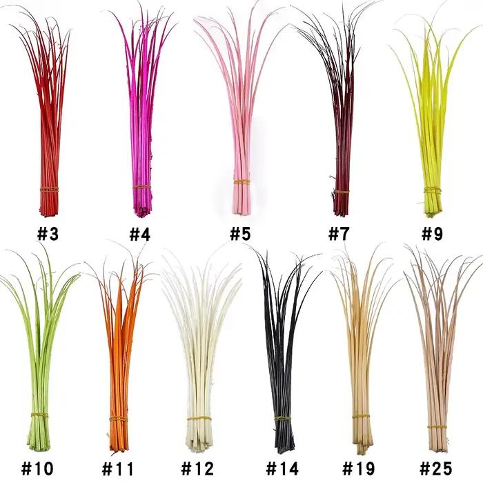 Tiges dures en plumes d'autruche colorées
