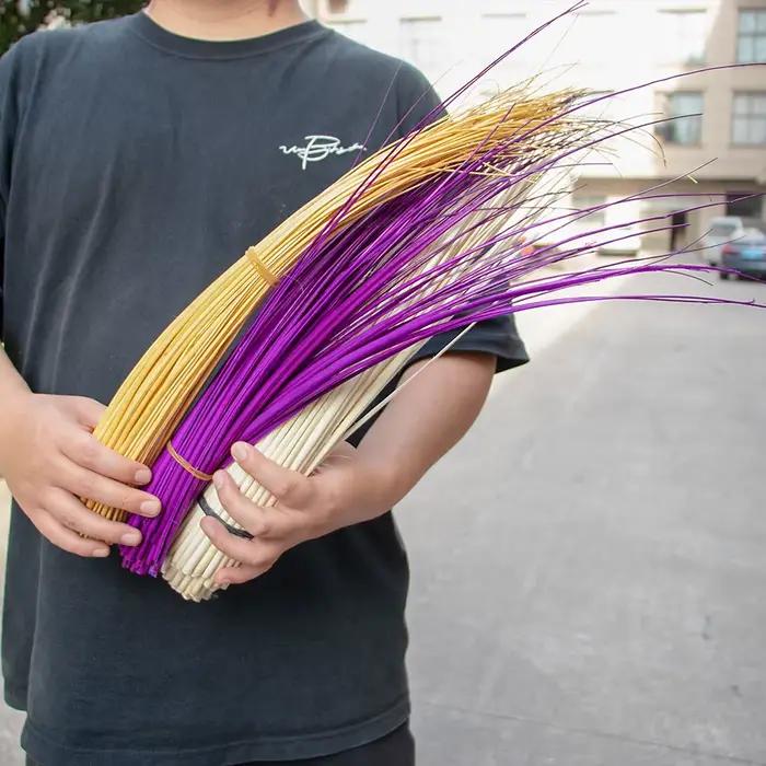 Tiges dures en plumes d'autruche colorées