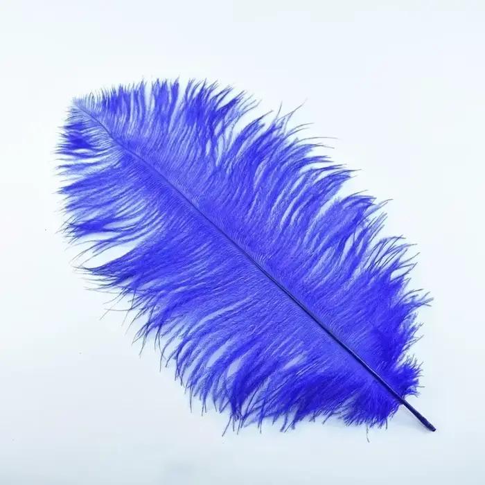 Plumes d'autruche colorées pour l'artisanat