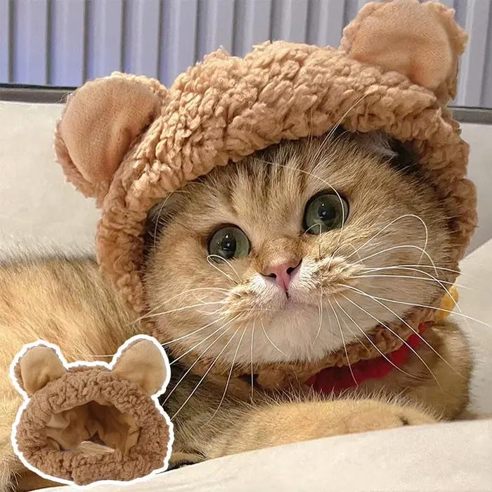 Bonnet d'Hiver Mignon en Forme d'Ours pour Chien et Chaton
