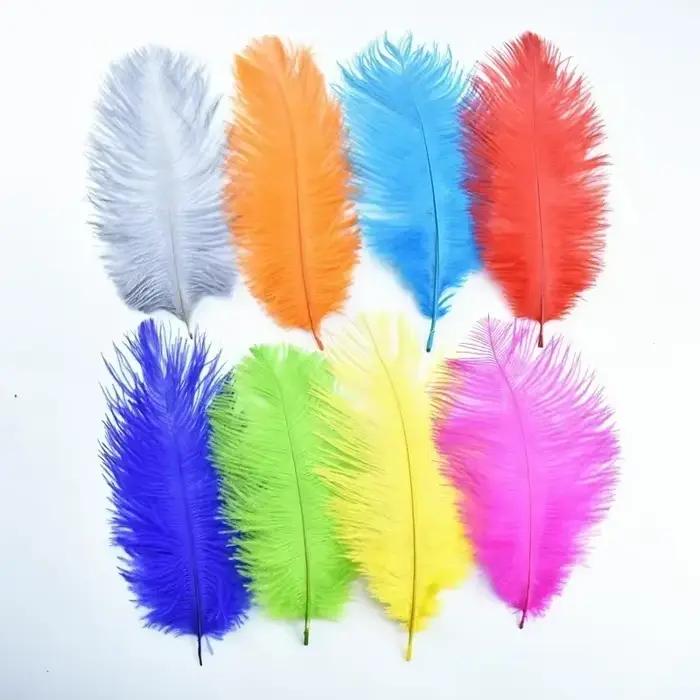 Chapeaux en plumes d'autruche naturelles
