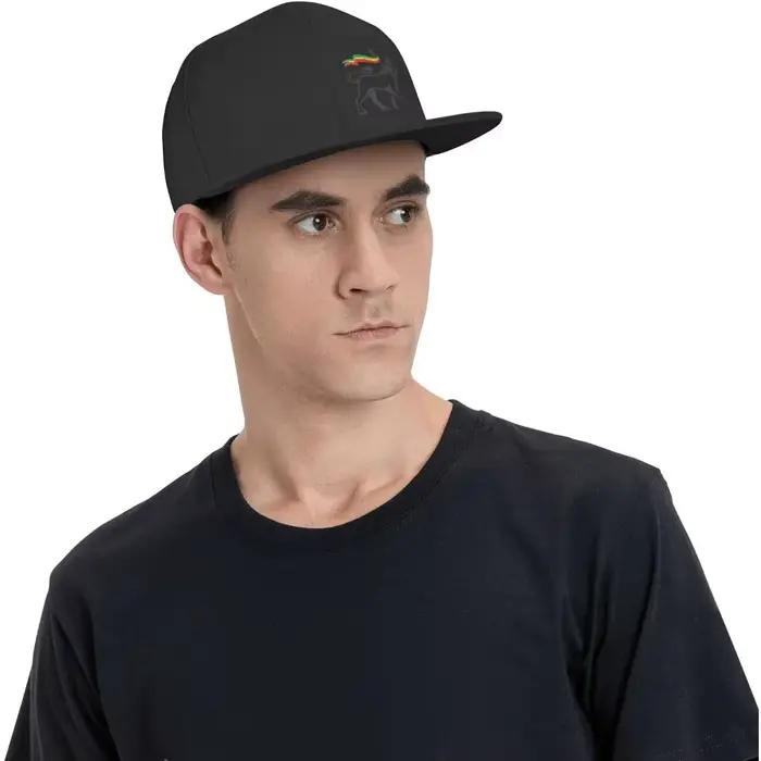 Casquette de baseball à bord plat Rasta Lion of Judah pour hommes et femmes