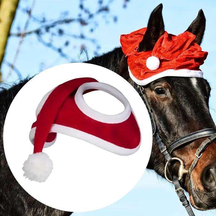 Chapeau de cheval de noël