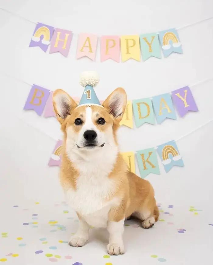 Chapeau de 1er anniversaire fait à la main