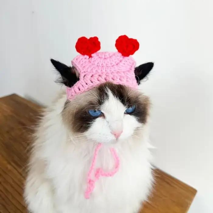 Chapeau en forme de cœur de pêche au crochet pour chats et chiens
