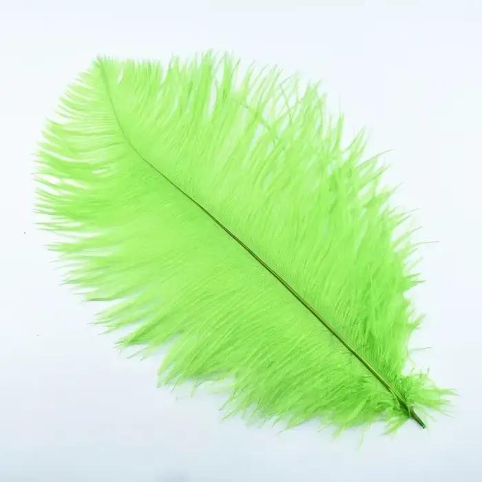 Plumes d'autruche colorées pour l'artisanat