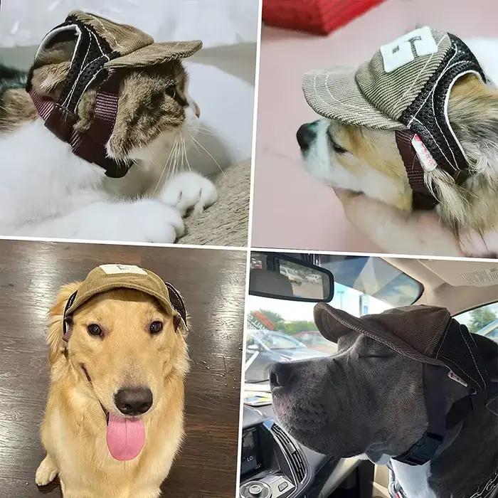 Chapeau de sports de plein air avec trous d'oreille pour animaux de compagnie