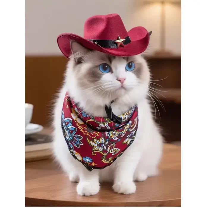 Ensemble Chapeau de Cowboy Chat Bleu Rétro