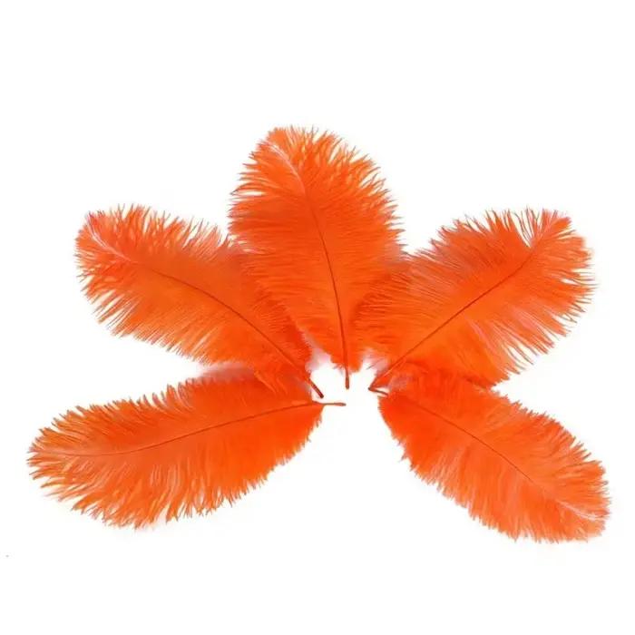 Plumes d'autruche orange pour l'artisanat