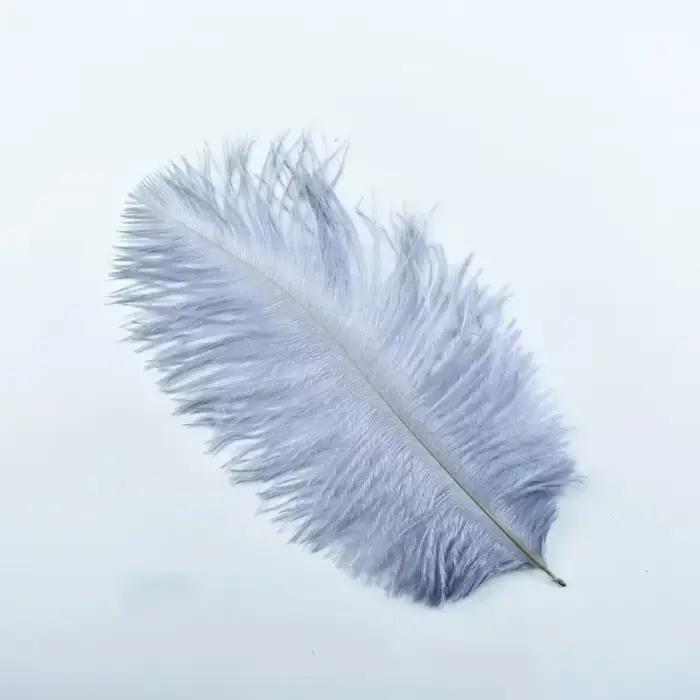 Chapeaux en plumes d'autruche naturelles