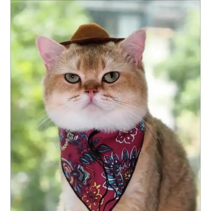 Ensemble Chapeau de Cowboy Chat Bleu Rétro