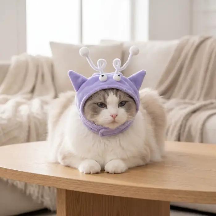 Chapeau avec queue de chat