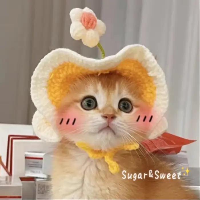 Chapeau de chat élastique mignon avec un peu de chaleur