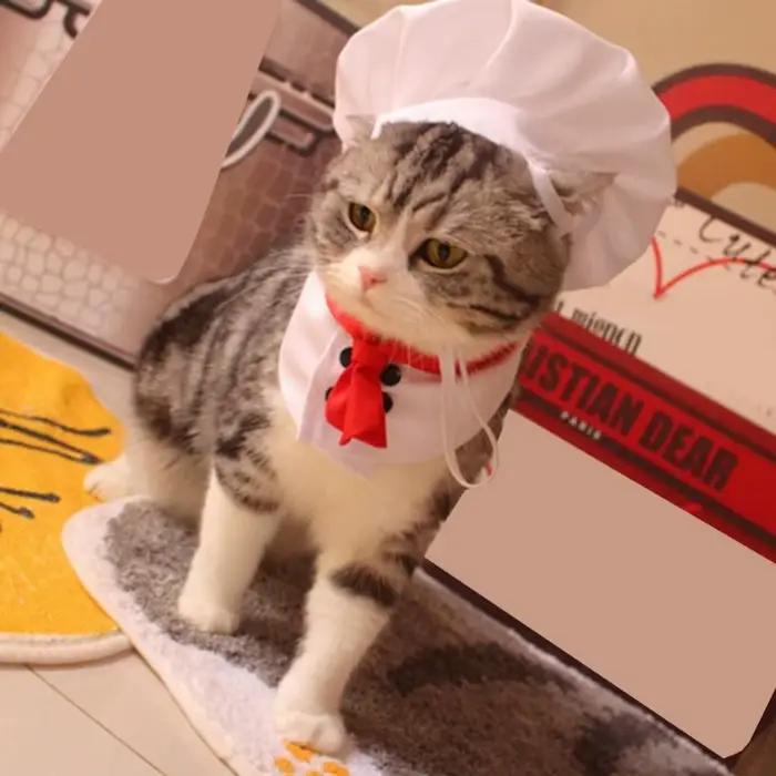 Chapeaux de chef pour chats et chiens accessoires de mode et cosplay pour animaux de compagnie polyester solides et résistants occassions spéciales et quotidienne