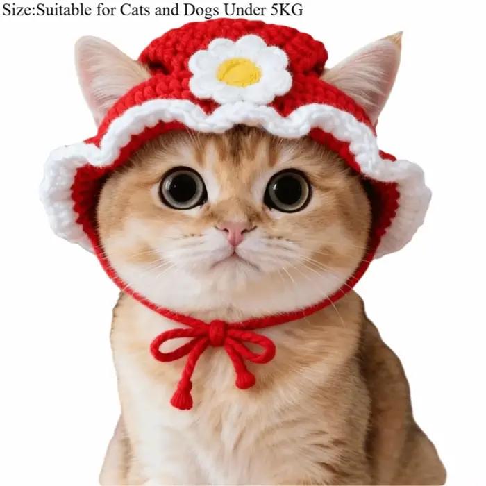Nouveau chapeau de chat drôle raffiné élastique accessoires de séance Photo chiot chatons tricoté