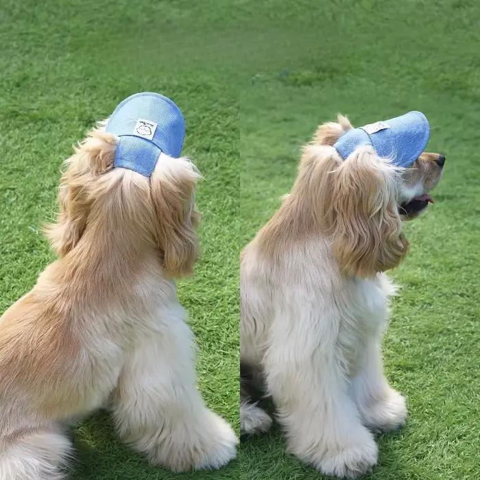 Casquette pour chien avec trous pour les oreilles