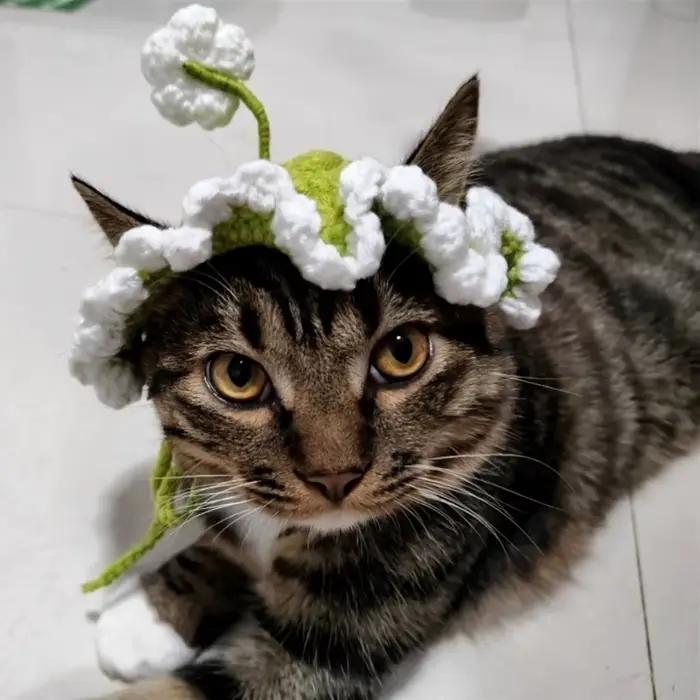 Chapeau en tricot confortable pour chat