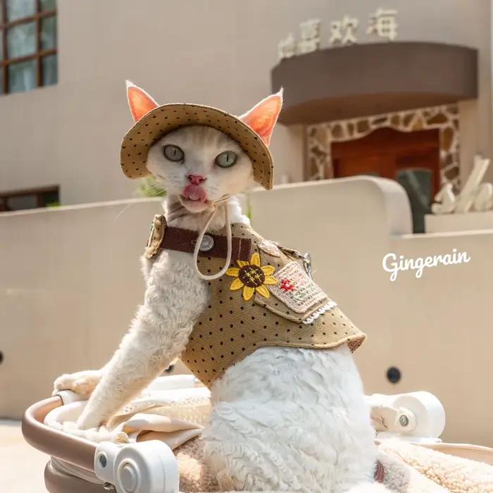 Chapeau de chat en fibre de coton réglable élégant pour chats et petits animaux de compagnie occasions spéciales confortable Blanc Gris