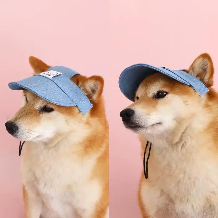Casquette pour chien avec trous pour les oreilles