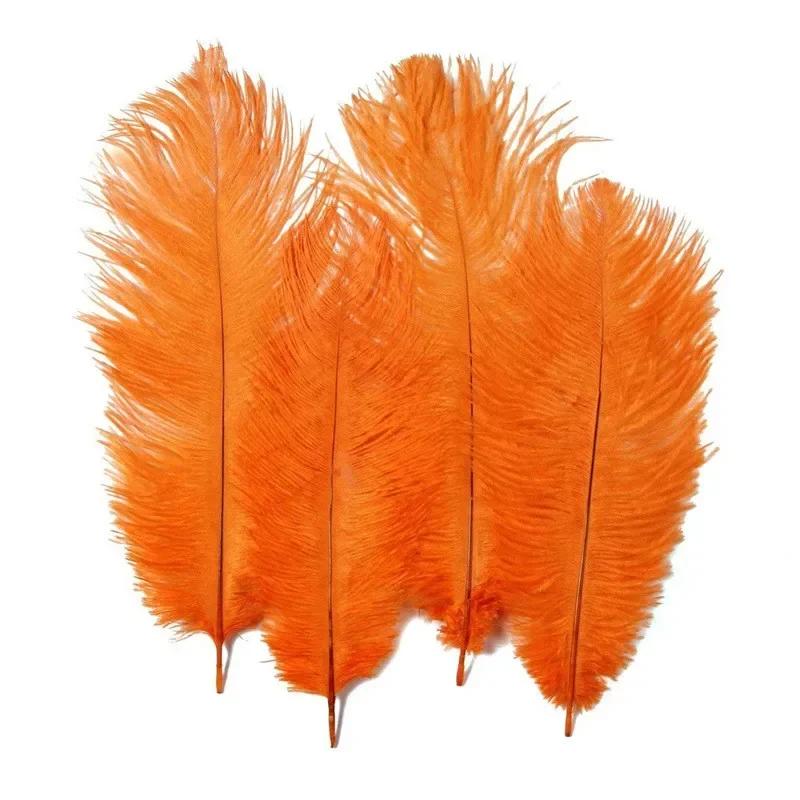 Plumes d'autruche orange pour l'artisanat